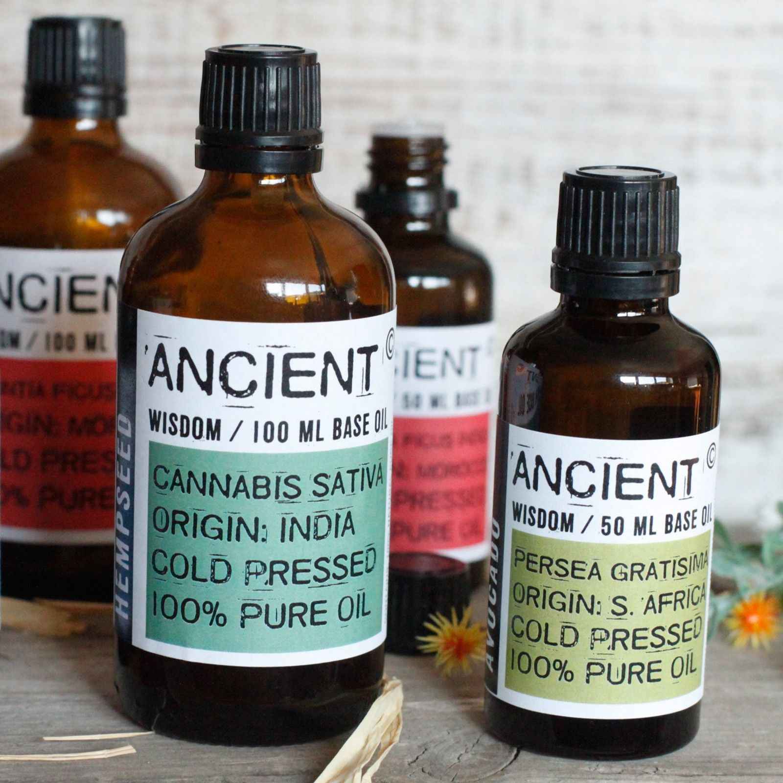 Wheatgerm Base Oil - 50ml