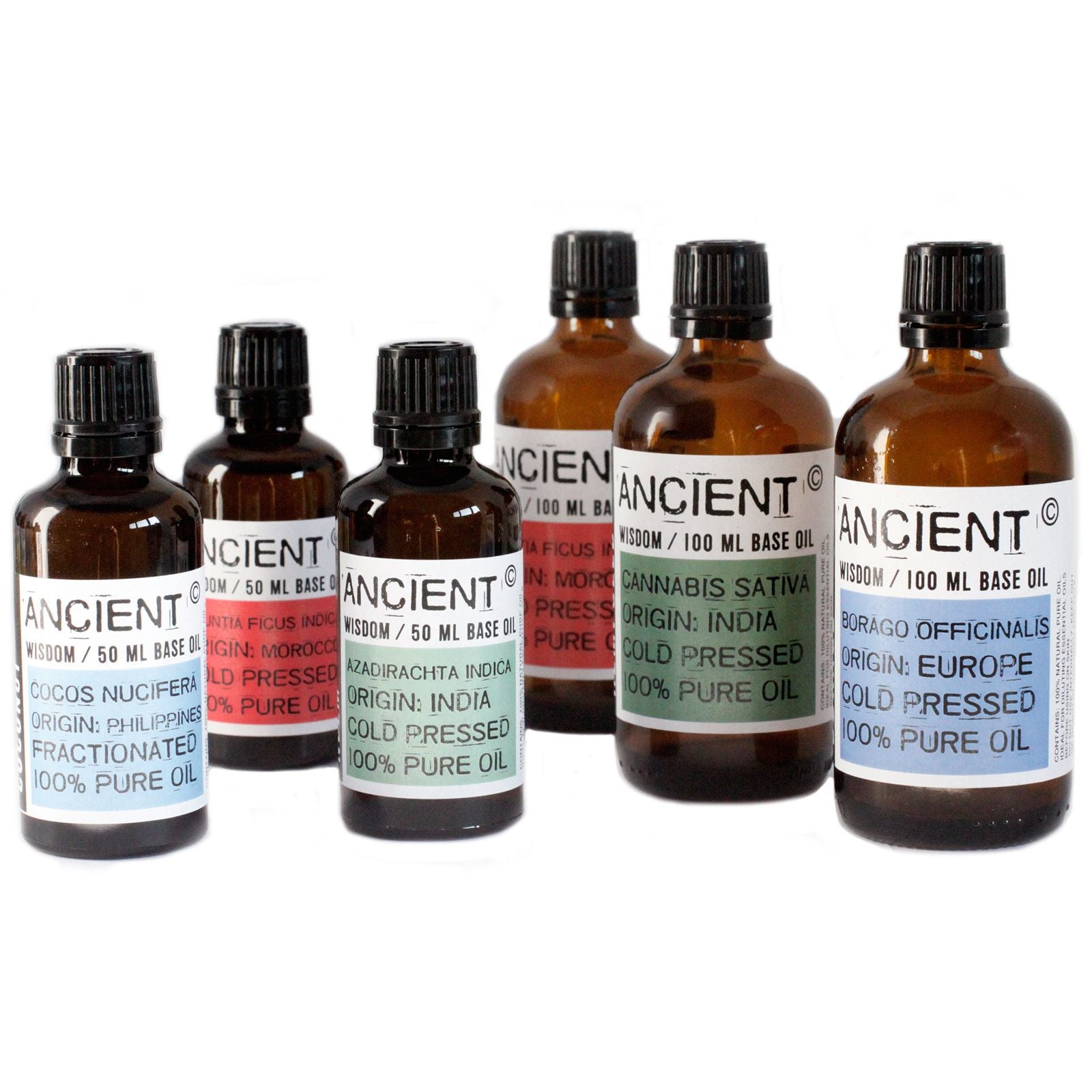 Borage Base Oil - 50ml - Natural Aroma Company